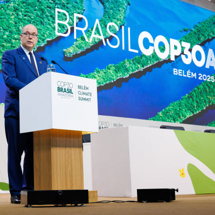 COP30 à Belem au Brésil 